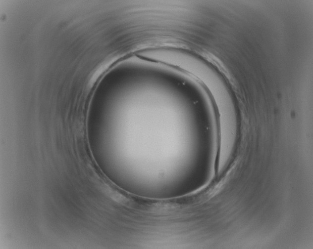 X0000076251081200610261934