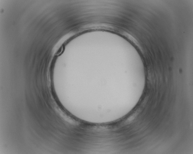 X0000076251082200610261934