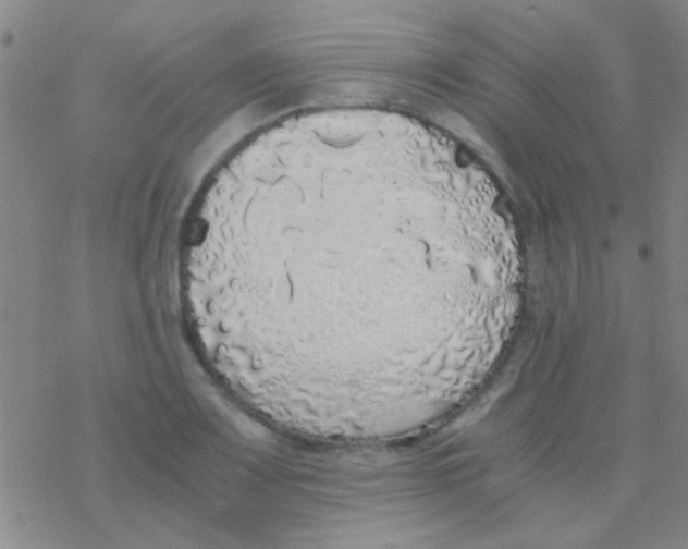 X0000076251083200610261934