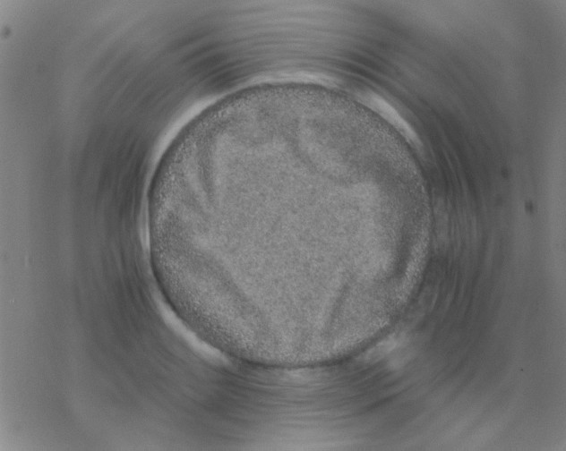 X0000076251084200610261934