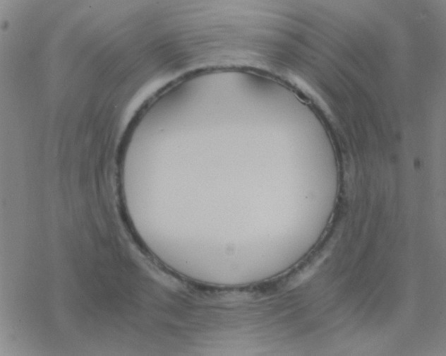 X0000076251085200610261934