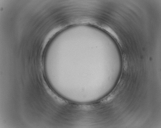 X0000076251088200610261934