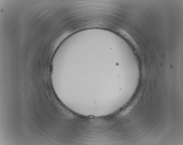 X0000076251089200610261934