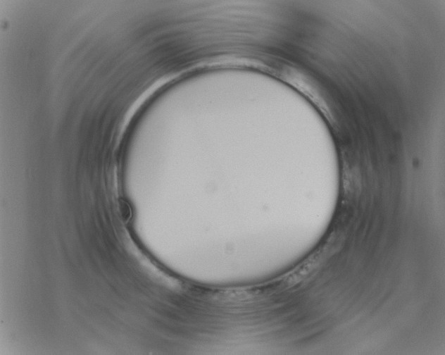 X0000076251092200610261934