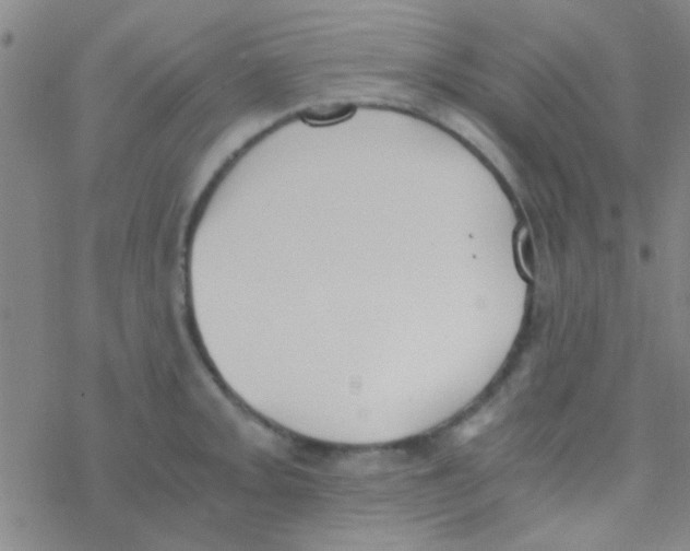 X0000076251093200610261934