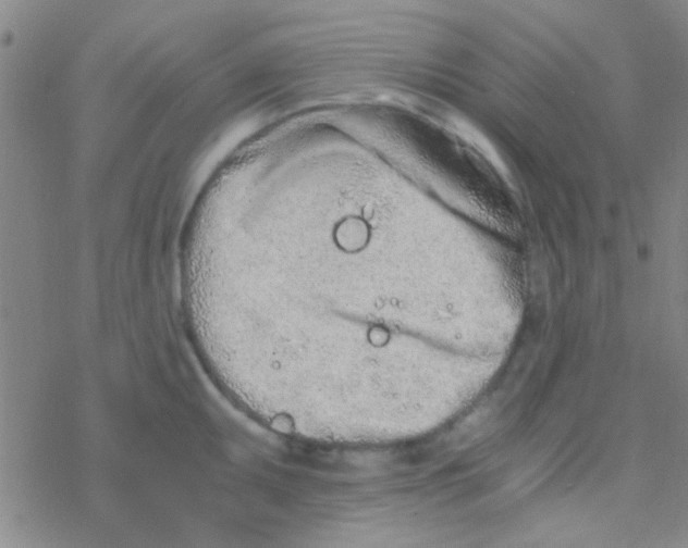 X0000076251095200610261934