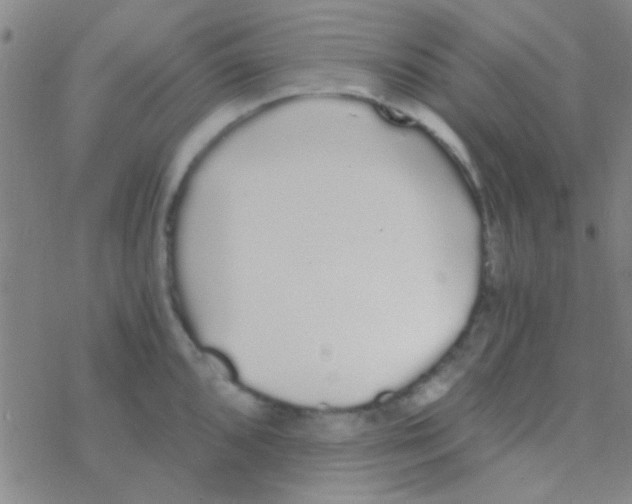 X0000076251096200610261934