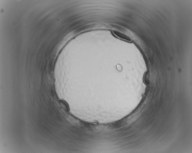 X0000076251097200610261934