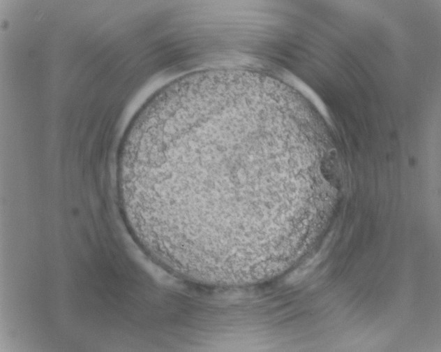 X0000076251099200610261934