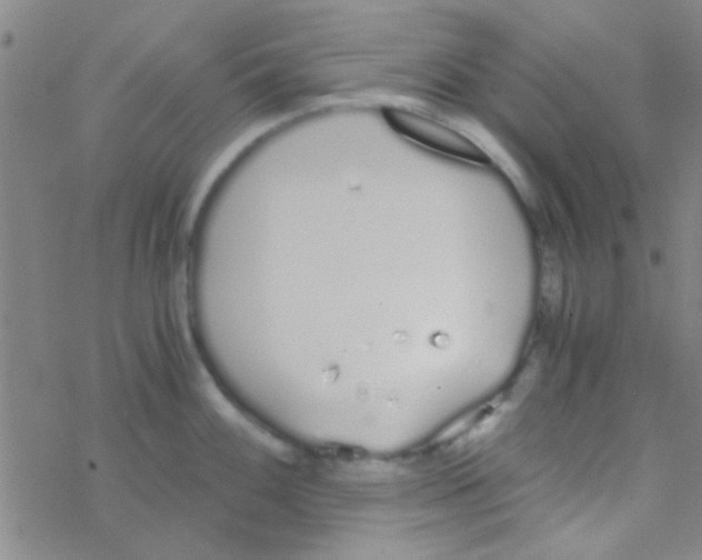 X0000076251100200610261934