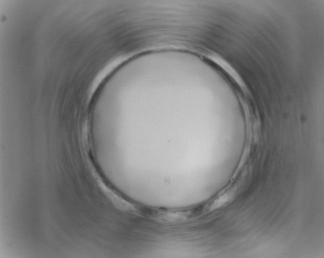 X0000076251101200610261934