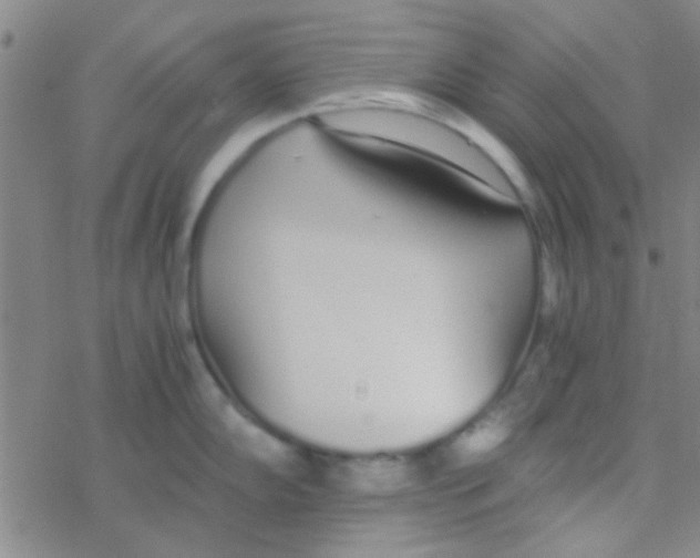 X0000076251102200610261934