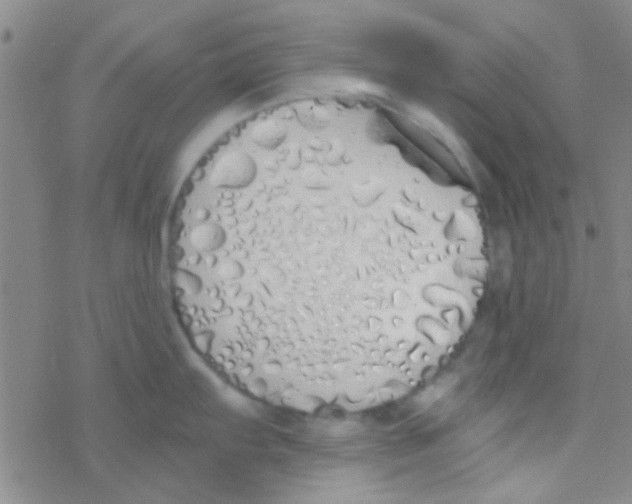 X0000076251103200610261934