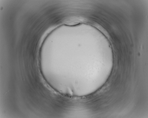 X0000076251104200610261934