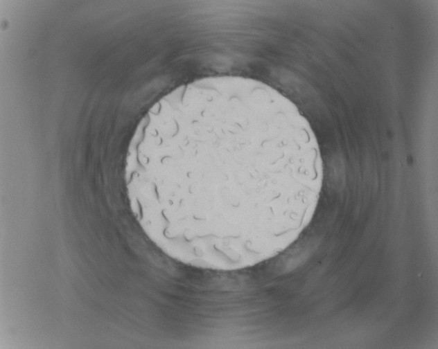 X0000076251105200610261933