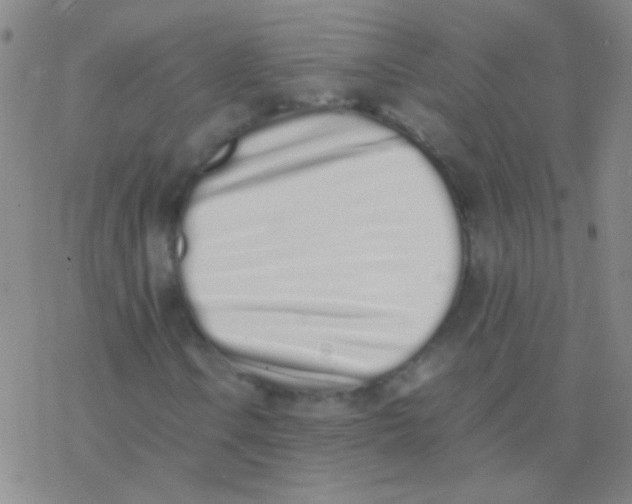 X0000076251106200610261933