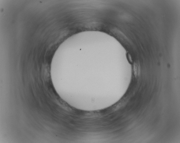 X0000076251107200610261933