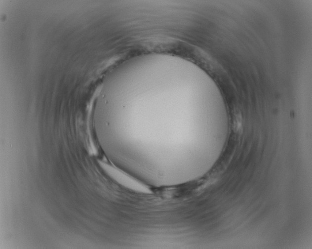 X0000076251108200610261933