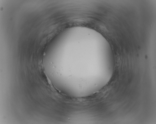 X0000076251109200610261933