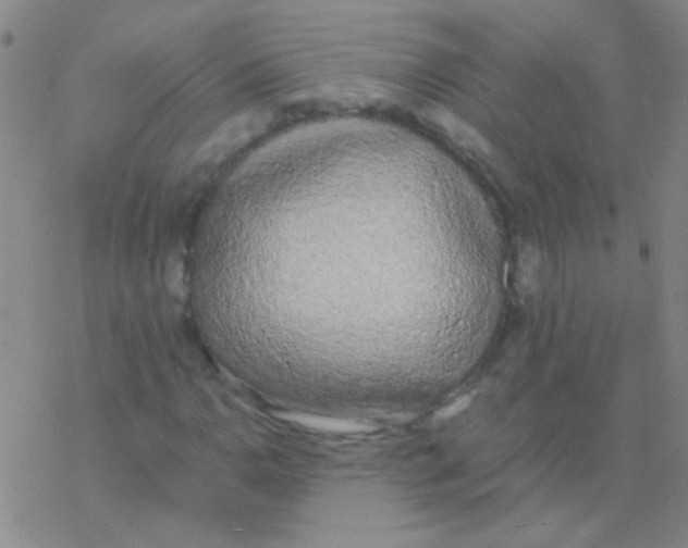 X0000076251110200610261933