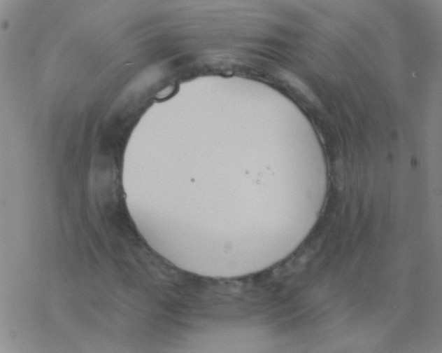 X0000076251111200610261933