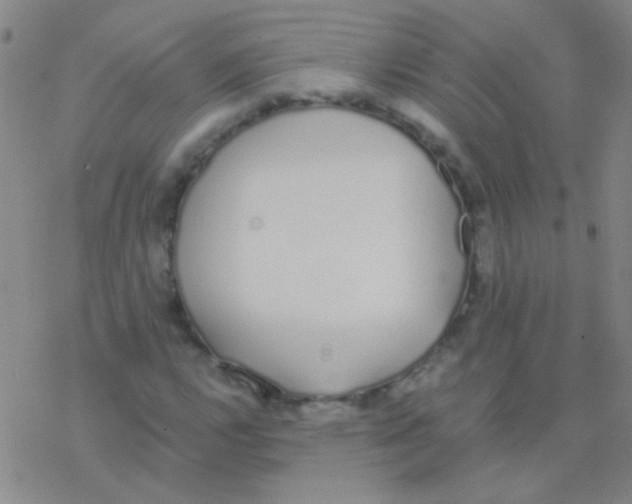 X0000076251112200610261933