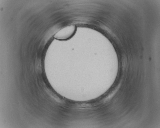 X0000076251113200610261933