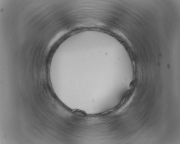 X0000076251114200610261933