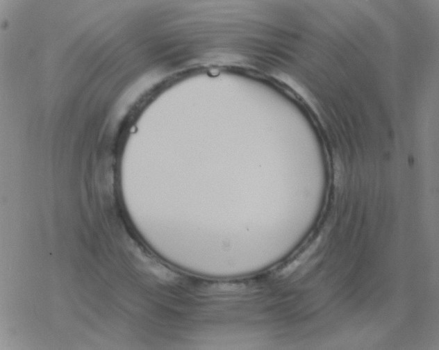 X0000076251115200610261933