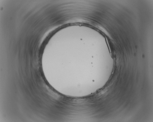 X0000076251116200610261933