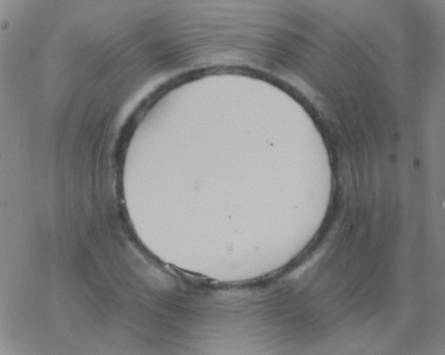 X0000076251118200610261933