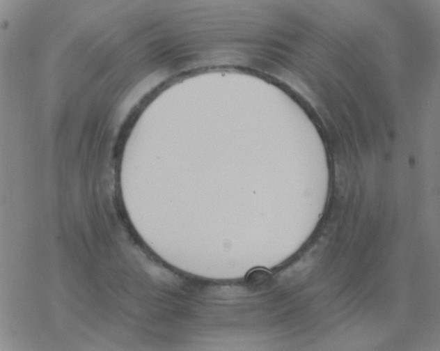 X0000076251119200610261933