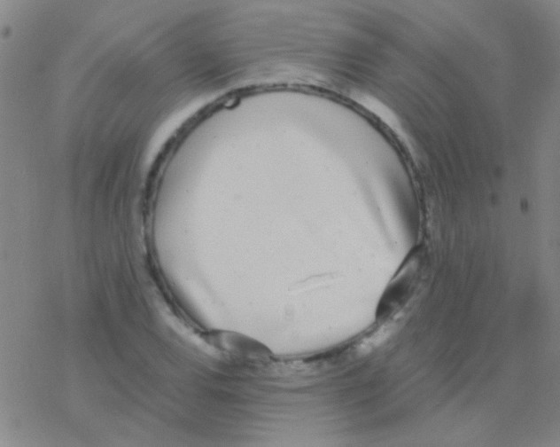 X0000076251120200610261933