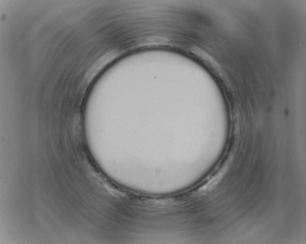 X0000076251121200610261933