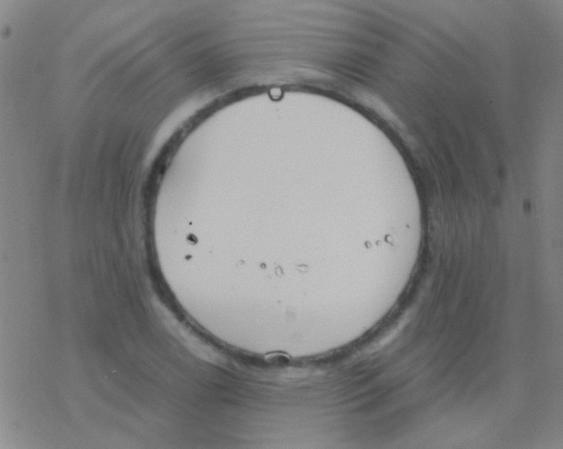 X0000076251122200610261933