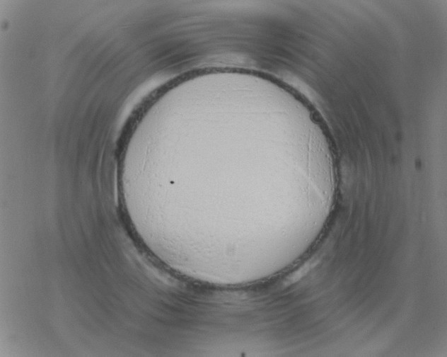 X0000076251123200610261933