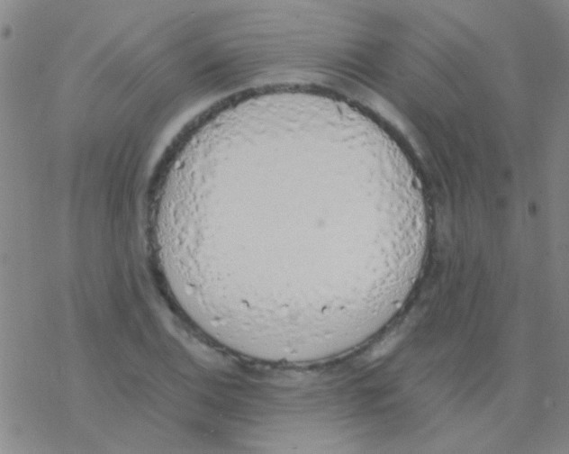 X0000076251124200610261933