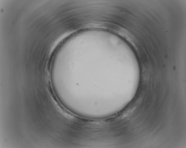 X0000076251125200610261933