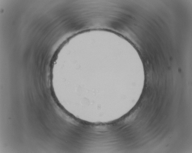 X0000076251126200610261933