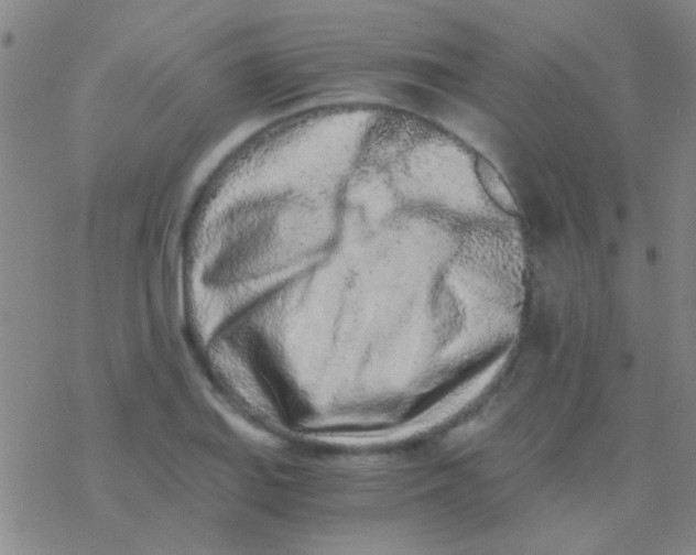 X0000076251127200610261933