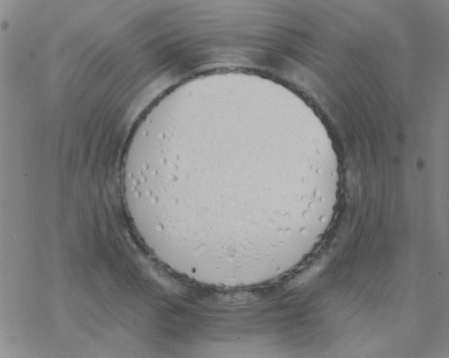 X0000076251129200610261933