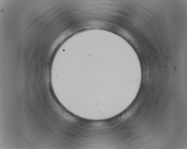 X0000076251130200610261933