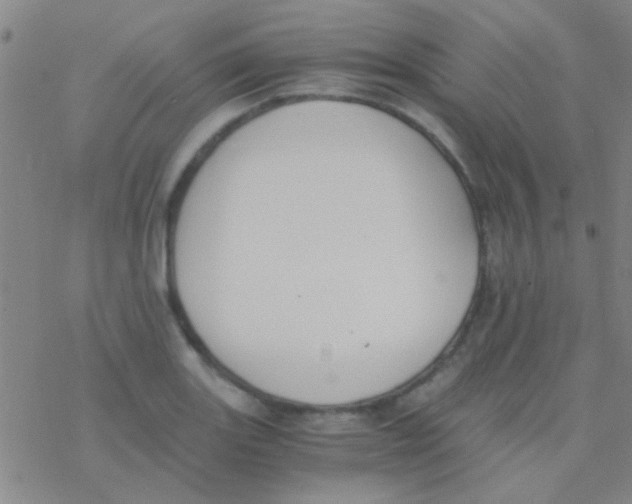 X0000076251131200610261933