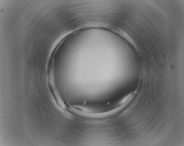 X0000076251132200610261934