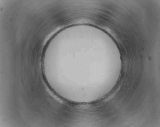 X0000076251134200610261934