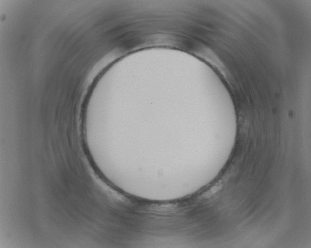 X0000076251135200610261934