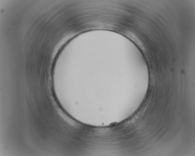 X0000076251136200610261934