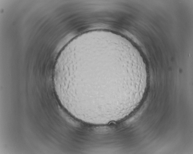 X0000076251137200610261934