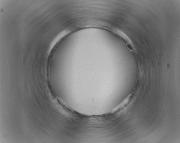 X0000076251138200610261934