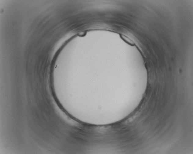 X0000076251139200610261934